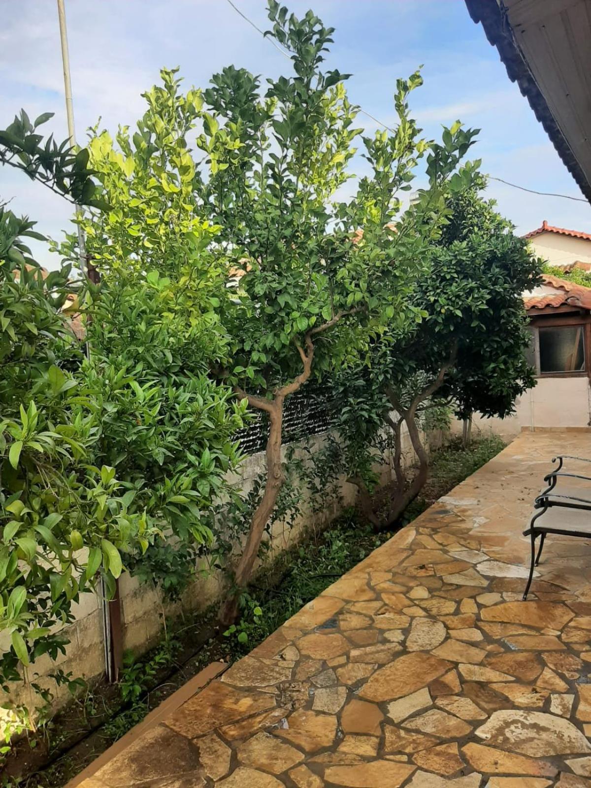 Tota'S Family House, 4 Min Walk To The Beach Levendokhórion Екстериор снимка